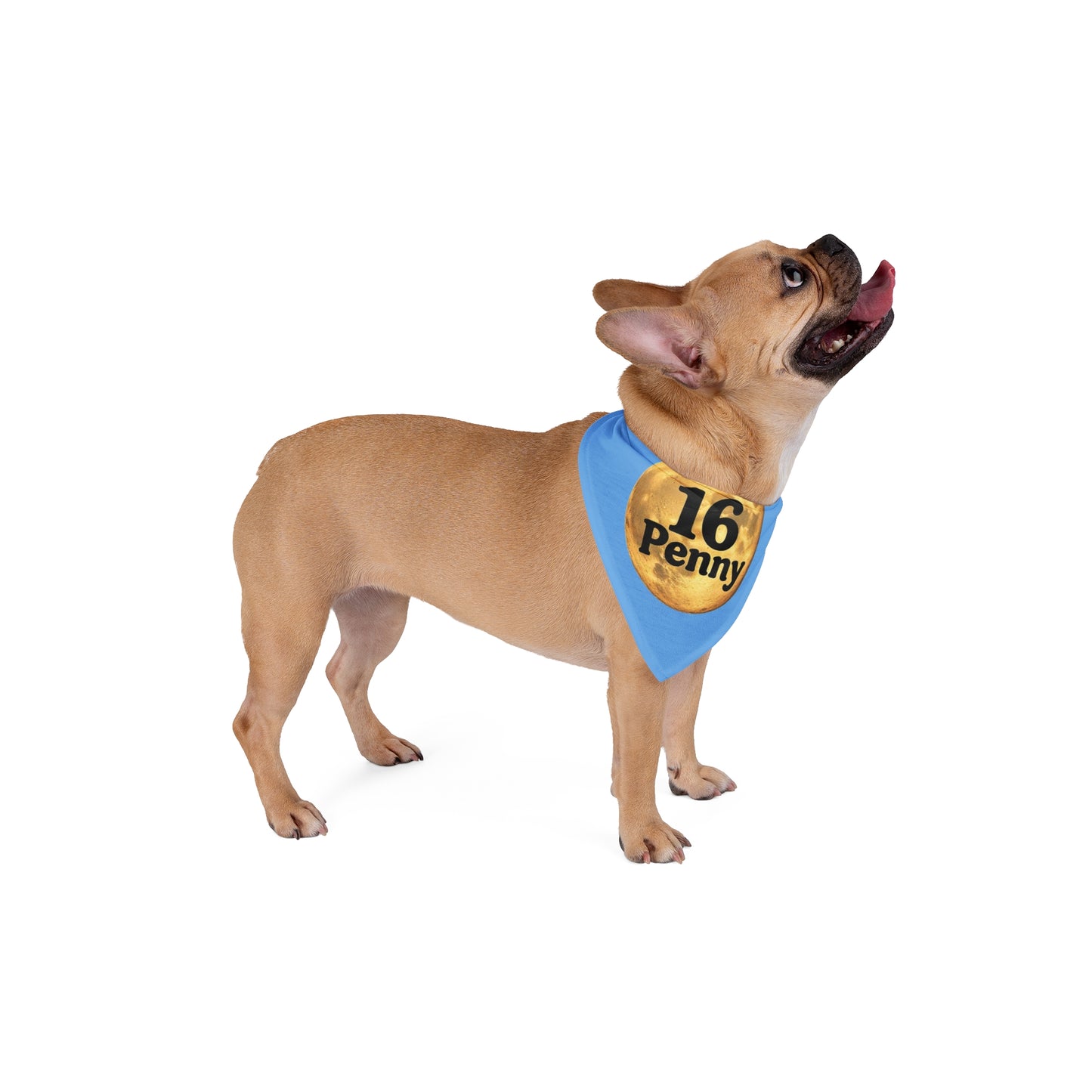 Custom Pet Bandana with Moon Design, Personalized Dog Scarf, Pet Accessories, Dog Bandana for Pets, Unique Pet Gift
